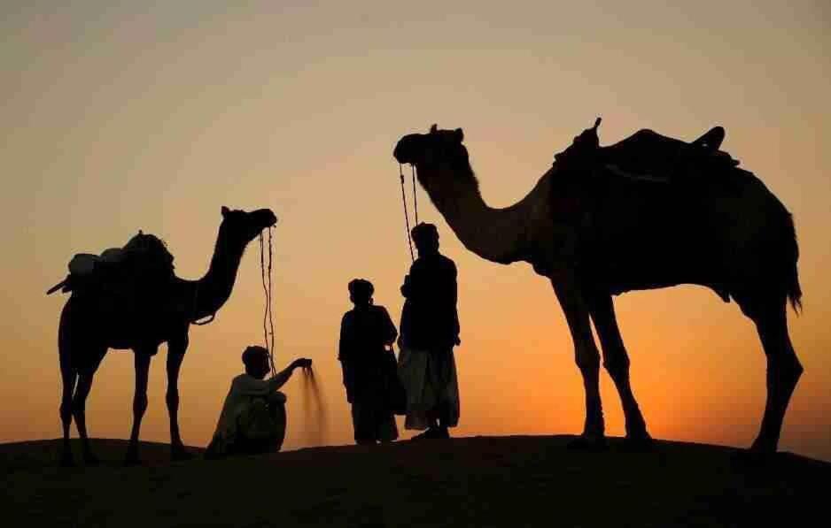 The Mama'S Resort & Camp Jaisalmer Eksteriør bilde
